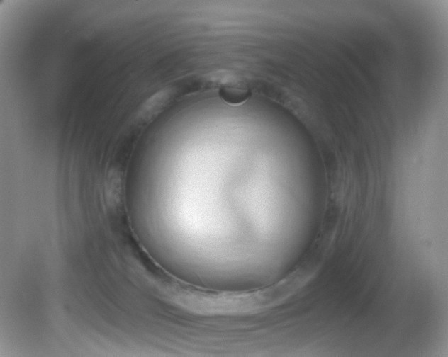 X0000083040036200702021203