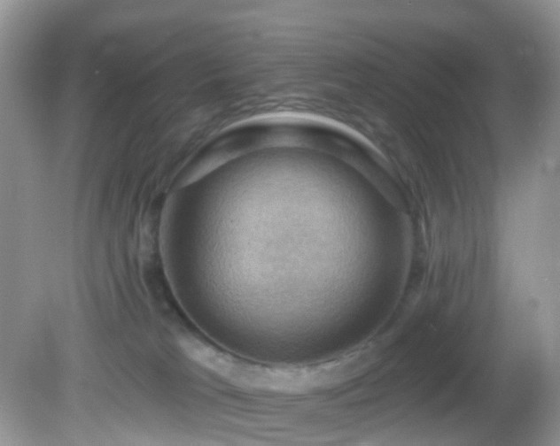 X0000083040037200702021203