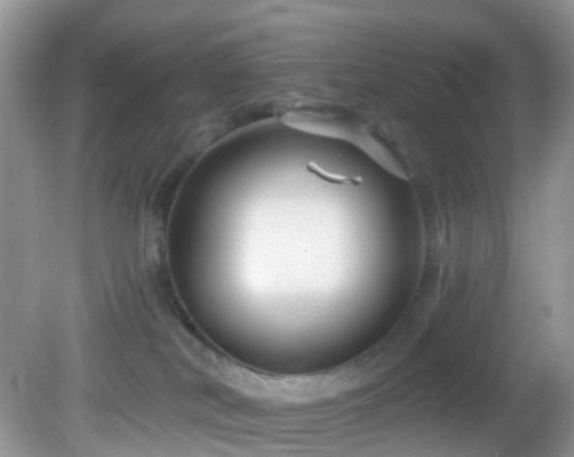 X0000083040038200702021203