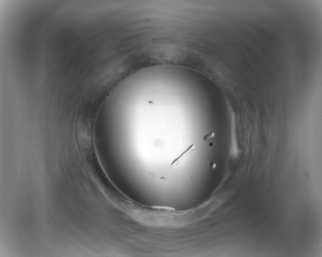 X0000083040040200702021203