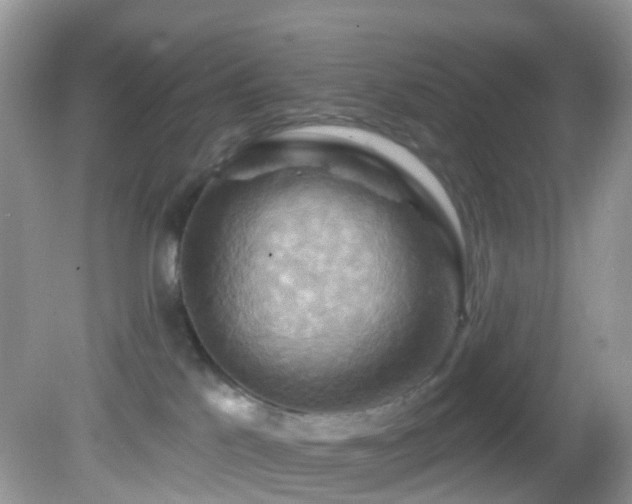 X0000083040041200702021203