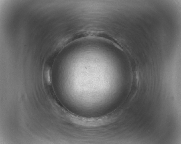 X0000083040042200702021203