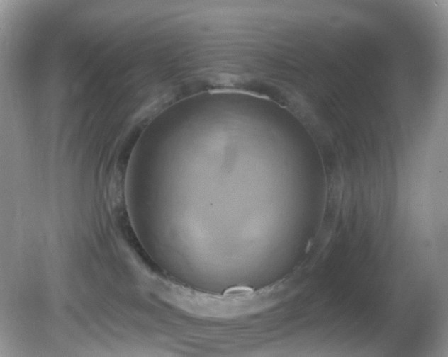 X0000083040043200702021203