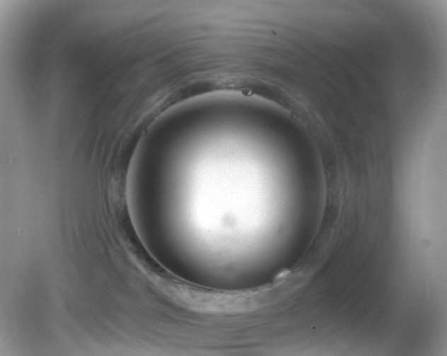 X0000083040044200702021203