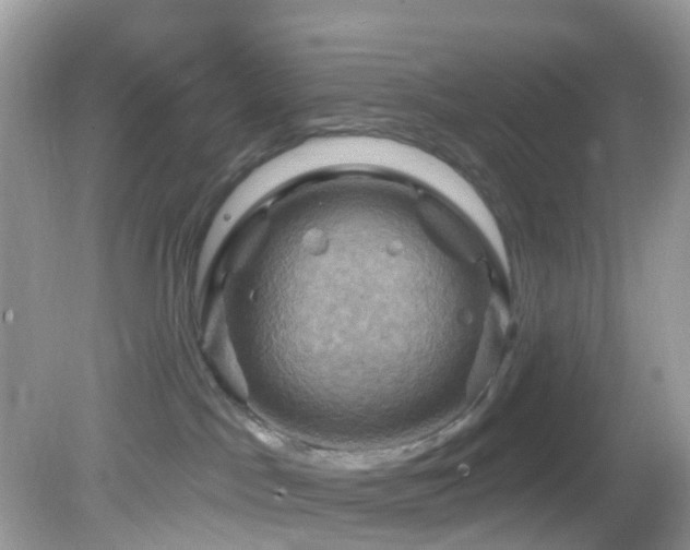 X0000083040045200702021203