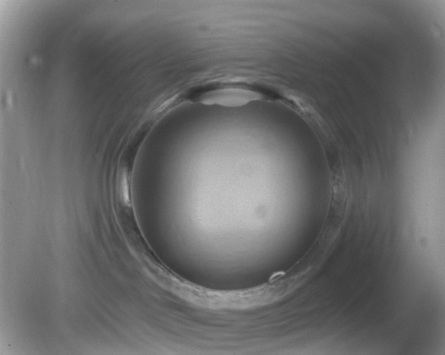 X0000083040046200702021203