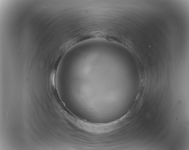 X0000083040047200702021203