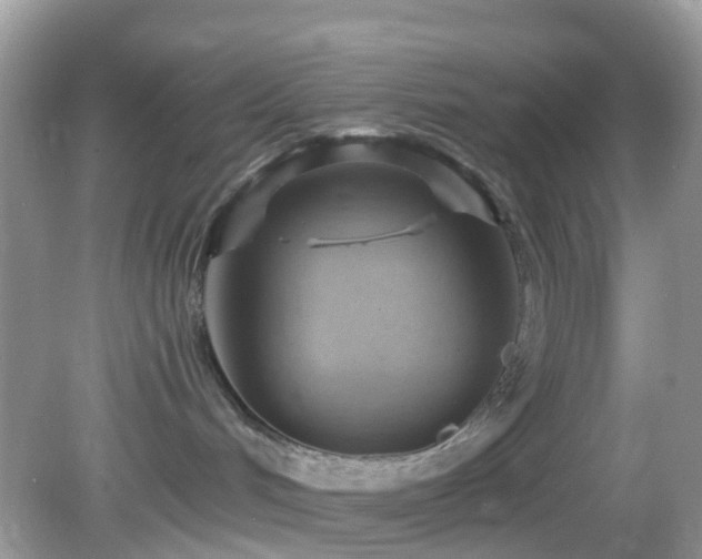 X0000083040048200702021203