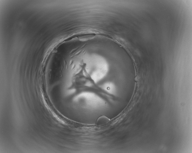 X0000083040049200702021202