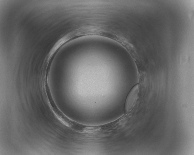 X0000083040051200702021202