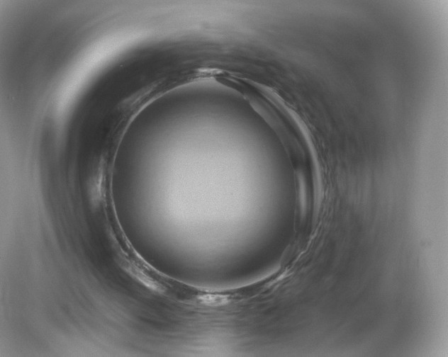 X0000083040052200702021202