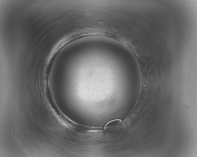 X0000083040053200702021202