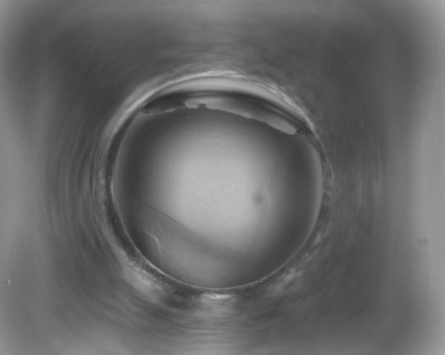 X0000083040055200702021202