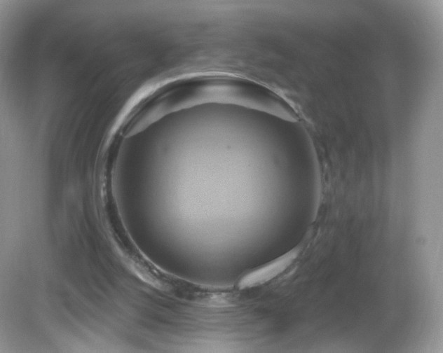 X0000083040056200702021202