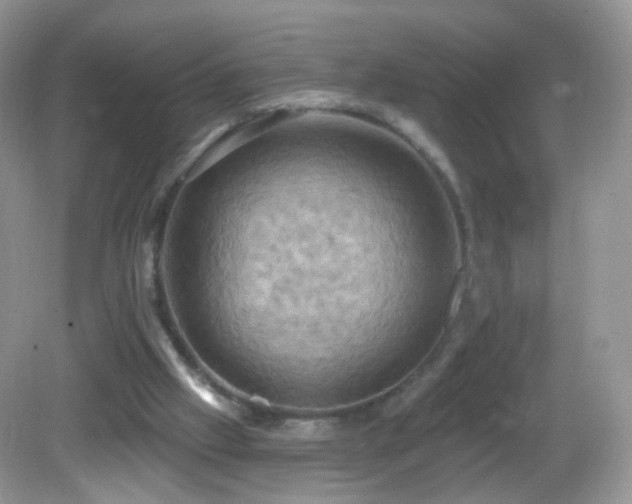 X0000083040057200702021202