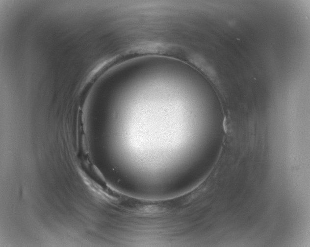 X0000083040058200702021202