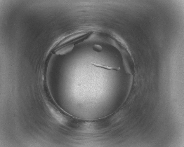 X0000083040059200702021202