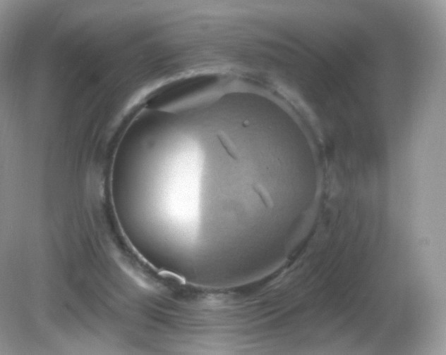 X0000083040060200702021202