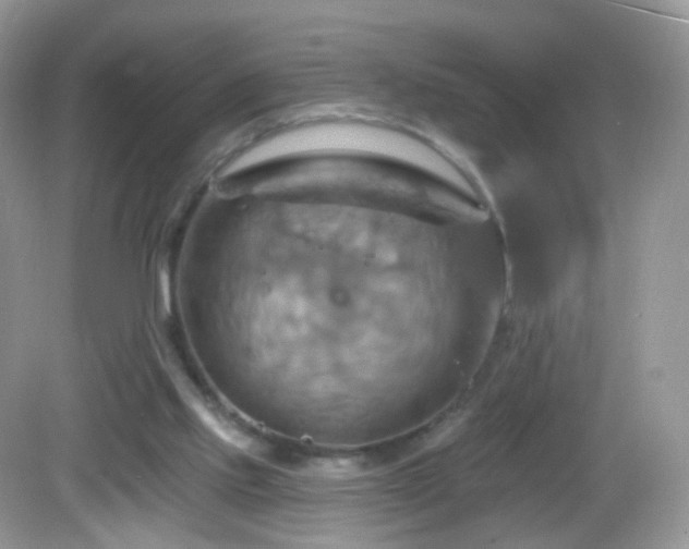 X0000083040061200702021202