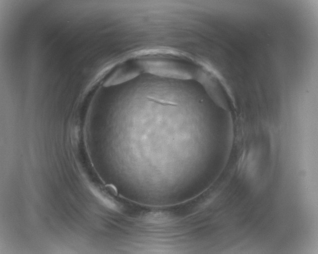 X0000083040063200702021202