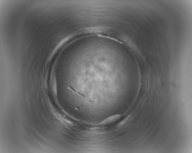 X0000083040064200702021202