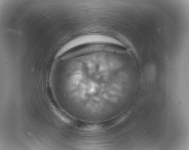 X0000083040065200702021202