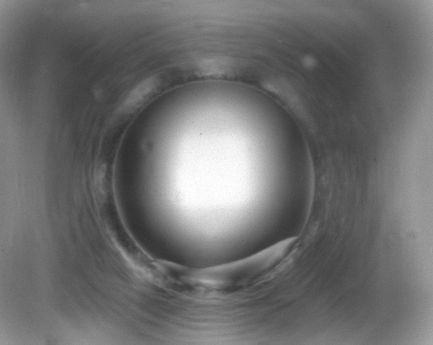 X0000083040066200702021202