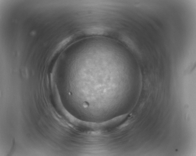 X0000083040068200702021202