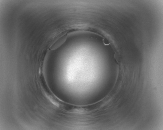 X0000083040069200702021202