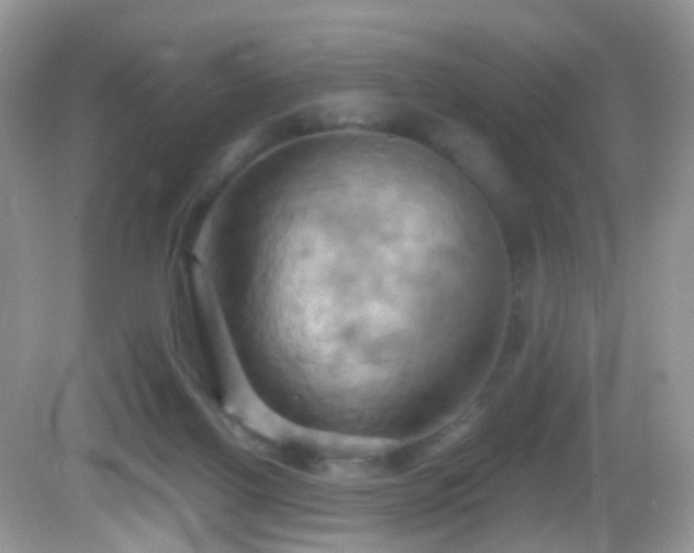 X0000083040070200702021202