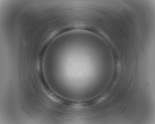 X0000083040072200702021203