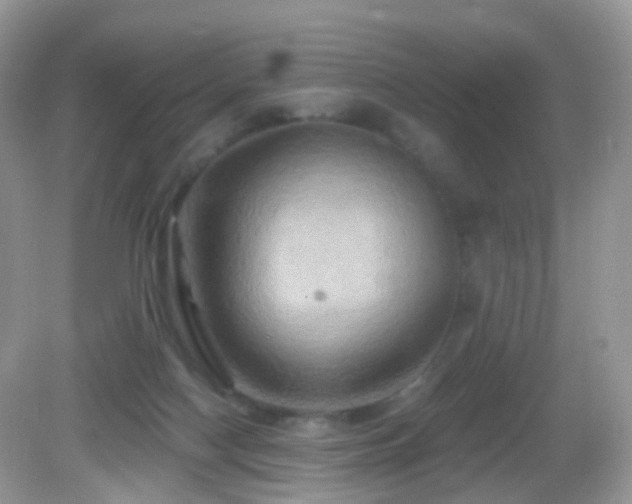 X0000083040074200702021203