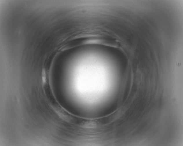 X0000083040075200702021203