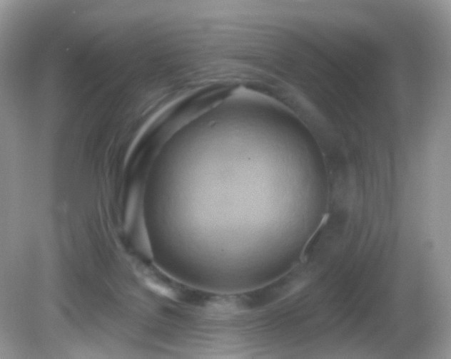 X0000083040076200702021203