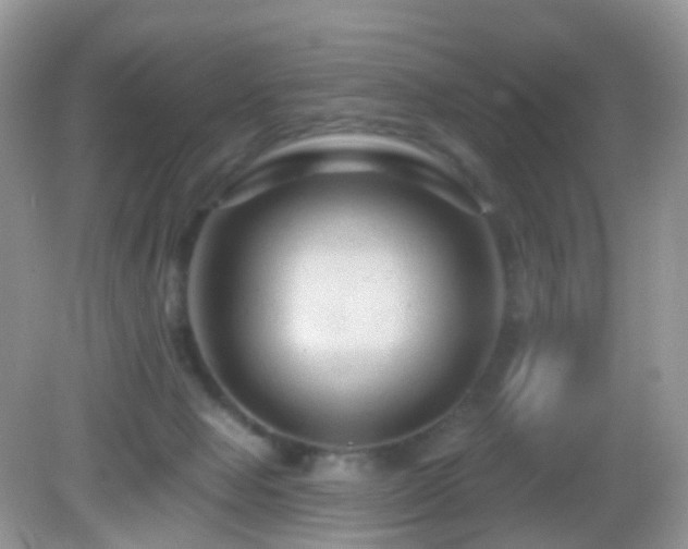 X0000083040077200702021203