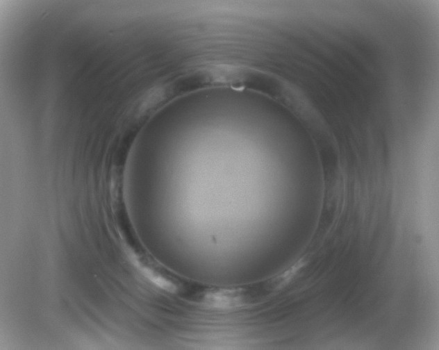 X0000083040078200702021203