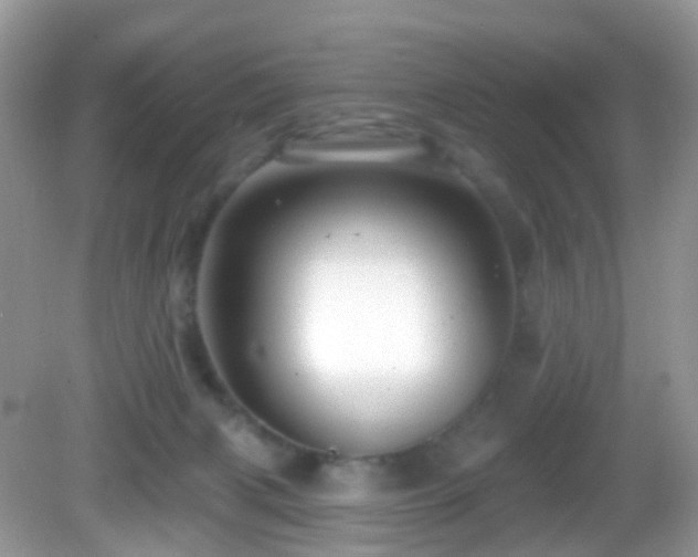 X0000083040079200702021203