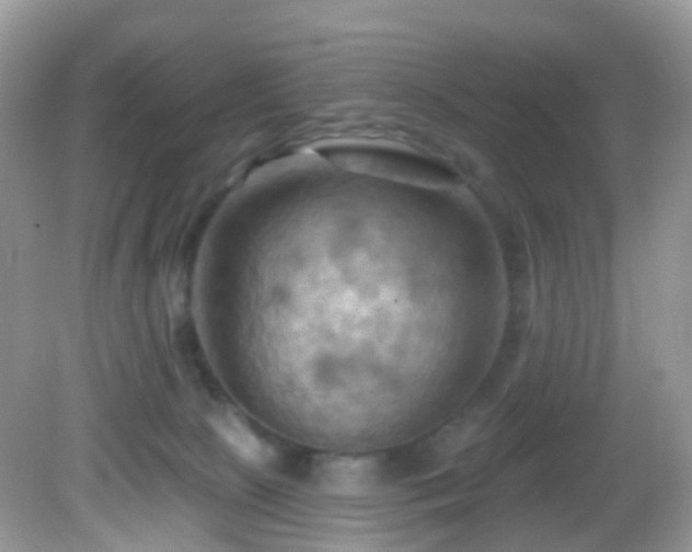 X0000083040081200702021203