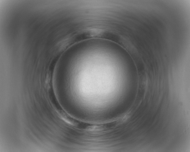 X0000083040082200702021203