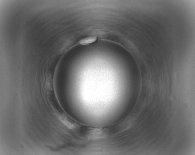 X0000083040083200702021203