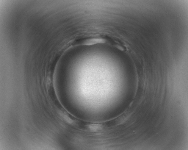 X0000083040085200702021203