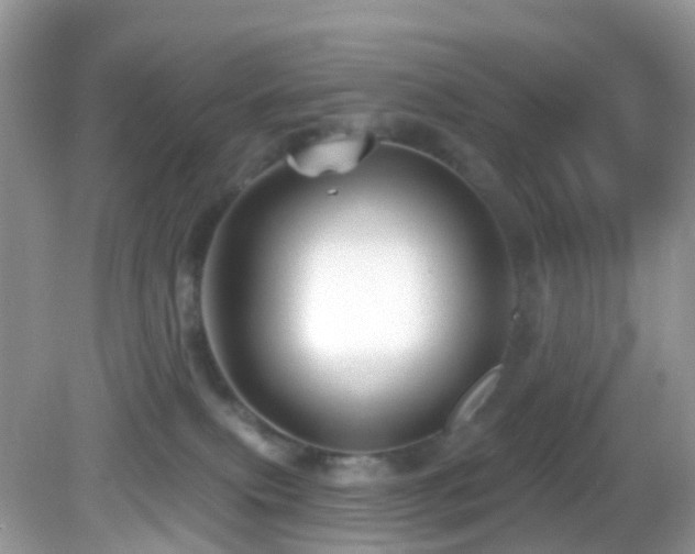 X0000083040087200702021203