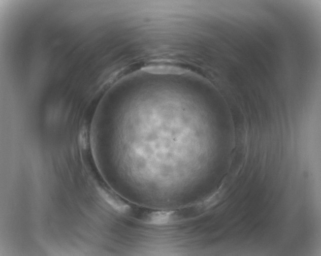 X0000083040090200702021203