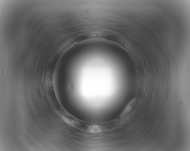 X0000083040091200702021203