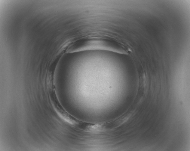 X0000083040092200702021203