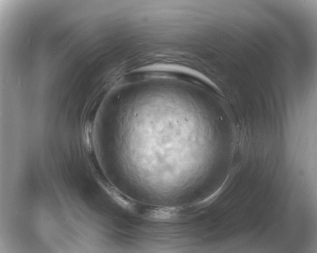 X0000083040094200702021203