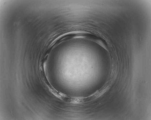 X0000083040096200702021203