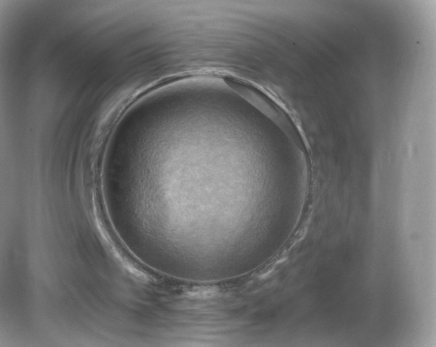 X0000083040097200702021202