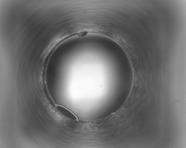 X0000083040098200702021202