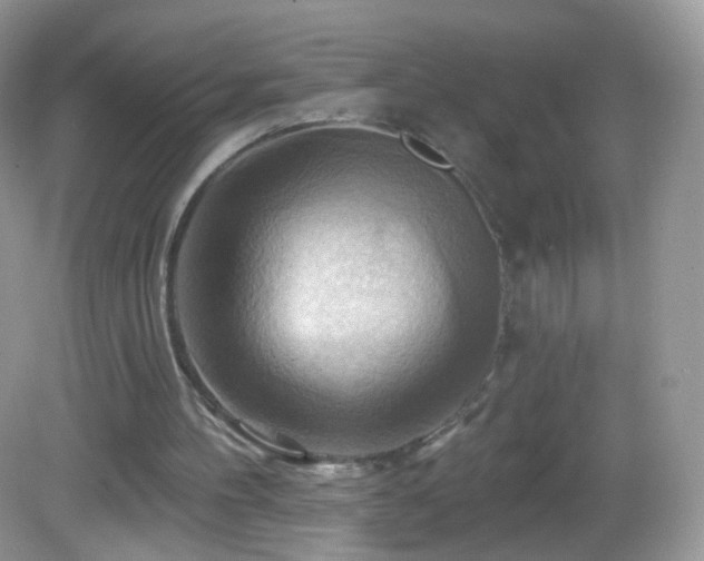 X0000083040100200702021202